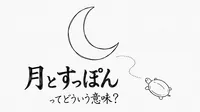 月とすっぽんってどういう意味？